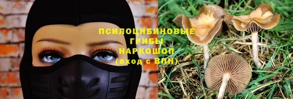 МДПВ Аркадак