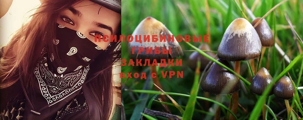 дурь Арсеньев