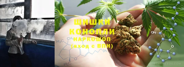 дурь Арсеньев